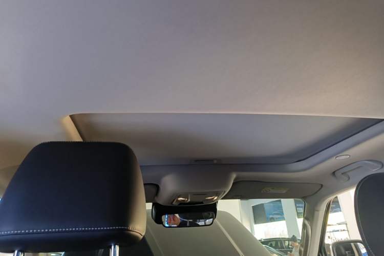 Used Tank 300 2021 City Edition 2.0T—Truly Stylish Headliner