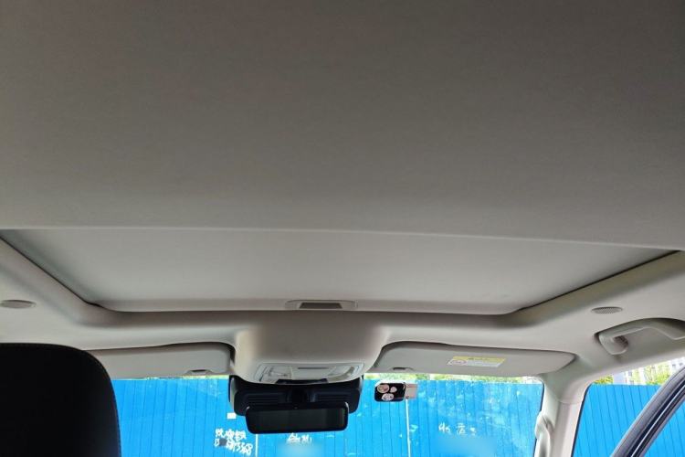 Used Tank 300 2021 City Edition 2.0T—Truly Stylish Headliner
