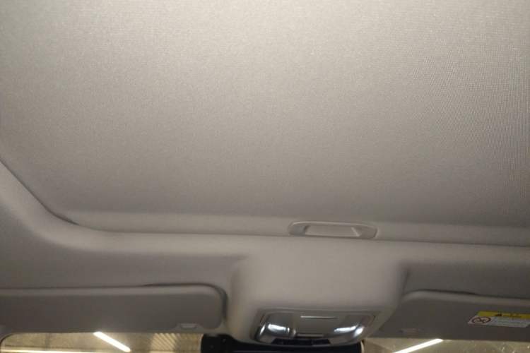 Used Tank 300 2021 Off-Road Edition 2.0T Conqueror Headliner