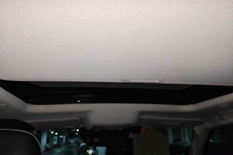 Used Tank 300 2021 City Edition 2.0T Essential Model Headliner