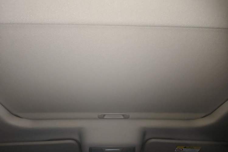 Used Tank 300 2021 City Edition 2.0T—Truly Stylish Headliner