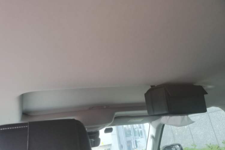 Used Tank 300 2021 Off-Road Edition 2.0T Conqueror Headliner