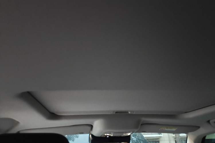 Used Tank 300 2021 2.0T Monet Tribute Limited Edition Headliner