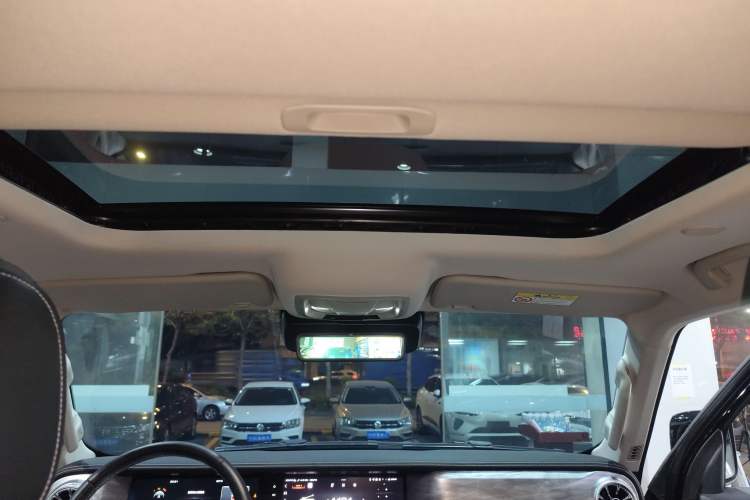 Used Tank 300 2021 City Edition 2.0T My Vision Model Headliner
