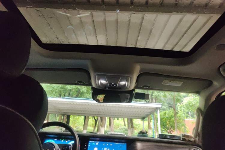 Used Tank 300 2021 City Edition 2.0T—Truly Stylish Headliner