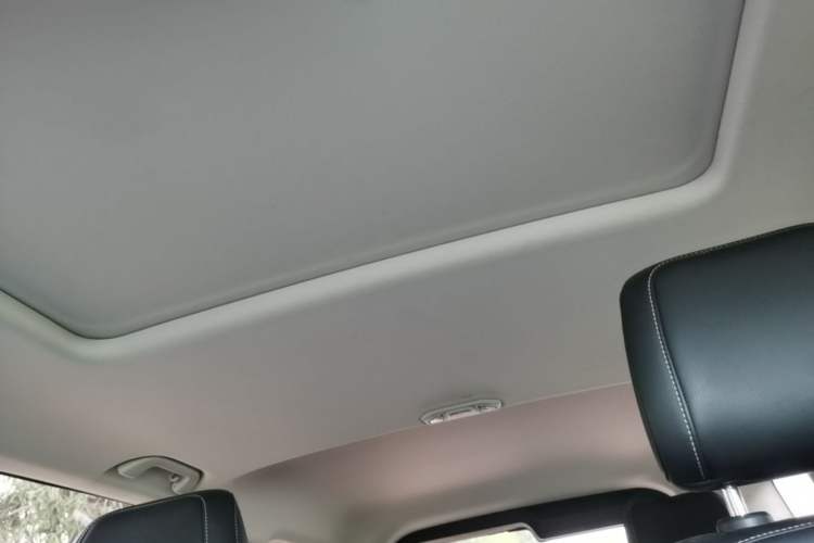 Used Tank 300 2021 Off-Road Edition 2.0T Conqueror Headliner