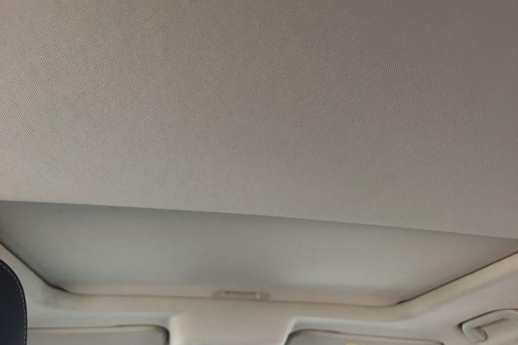 Used Tank 300 2021 Off-Road Edition 2.0T Conqueror Headliner