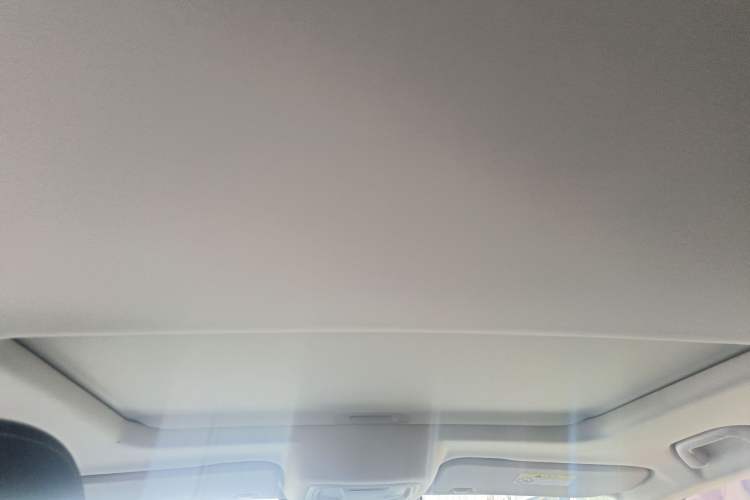 Used Tank 300 2021 Off-Road Edition 2.0T Conqueror Headliner