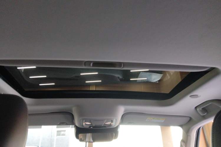Used Tank 300 2021 City Edition 2.0T—Truly Stylish Headliner