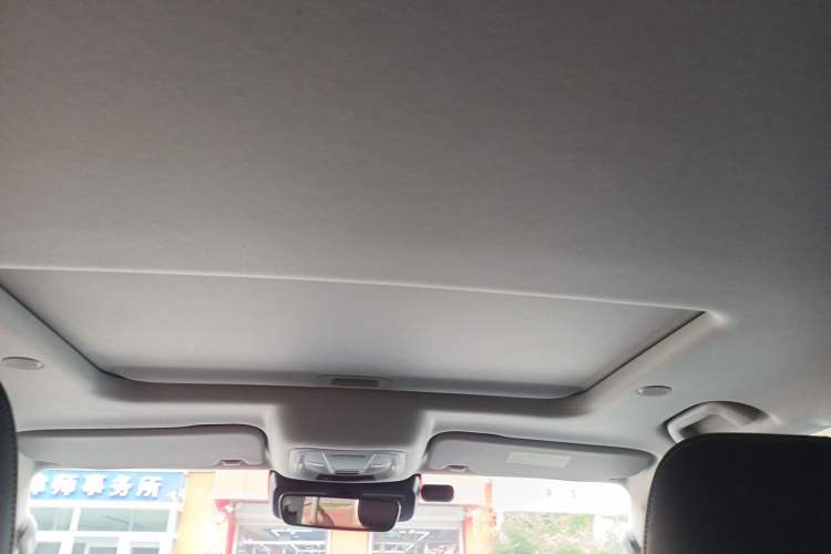 Used Tank 300 2021 City Edition 2.0T—Truly Stylish Headliner