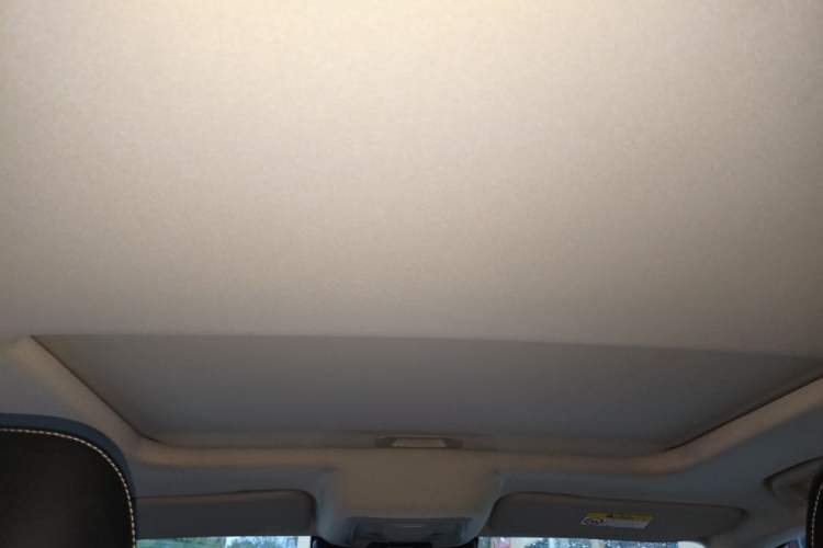 Used Tank 300 2021 Off-Road Edition 2.0T Challenger Headliner