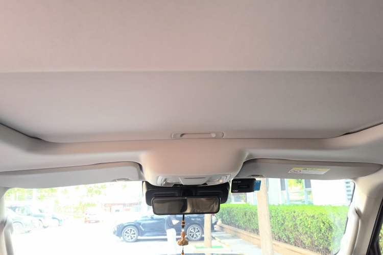 Used Tank 300 2021 City Edition 2.0T—Truly Stylish Headliner