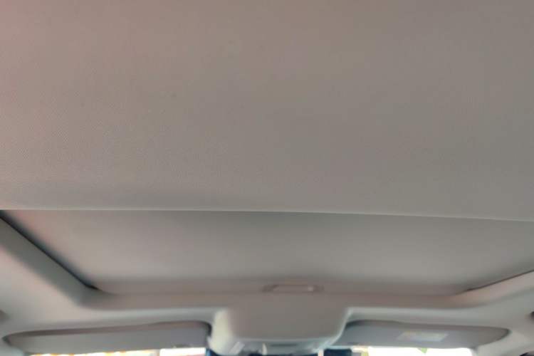 Used Tank 300 2021 Off-Road Edition 2.0T Conqueror Headliner