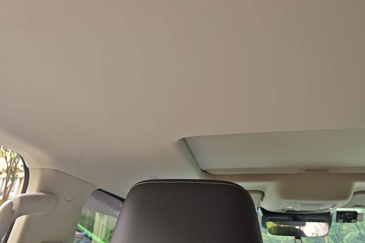 Used Tank 300 2021 Off-Road Edition 2.0T Conqueror Headliner