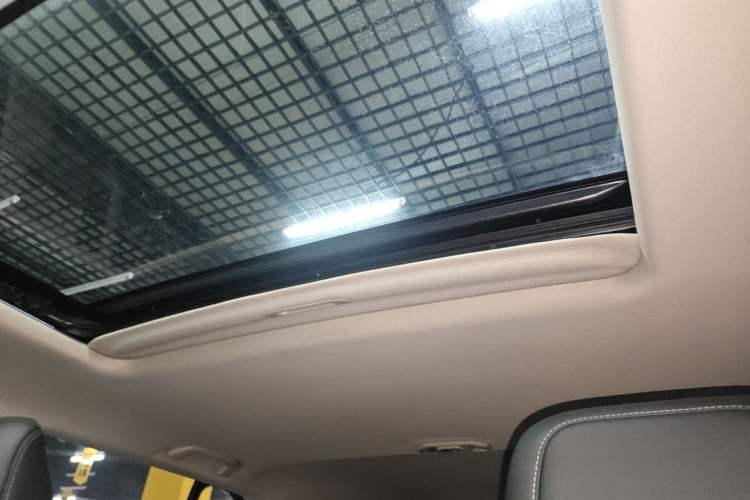 Used Tank 300 2021 Off-Road Edition 2.0T Challenger Headliner