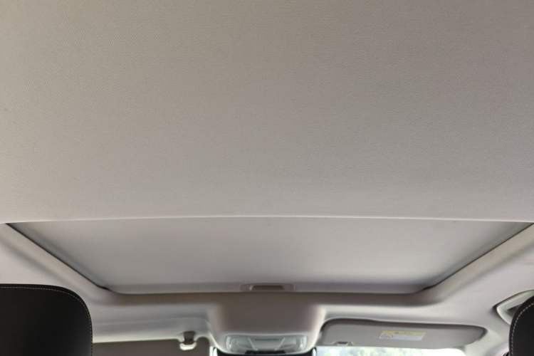 Used Tank 300 2021 Off-Road Edition 2.0T Conqueror Headliner