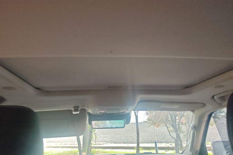 Used Tank 300 2021 City Edition 2.0T Essential Model Headliner