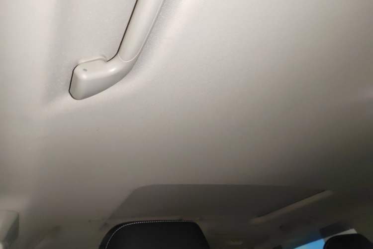 Used Tank 300 2021 City Edition 2.0T Essential Model Headliner