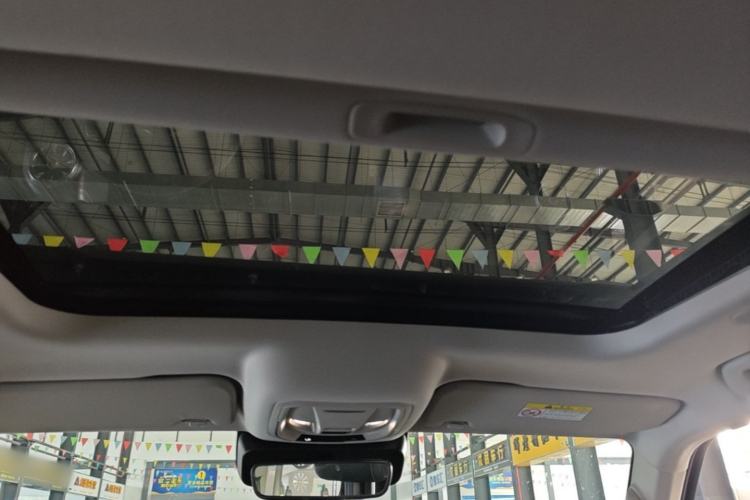 Used Tank 300 2021 City Edition 2.0T—Truly Stylish Headliner