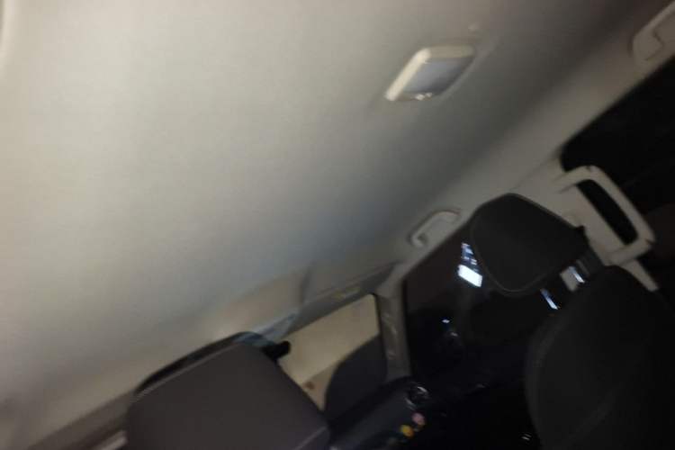 Used Tank 300 2021 Explorer 2.0T Off-Road Edition Headliner