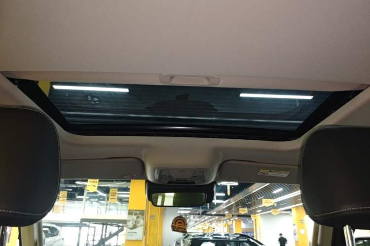 Used Tank 300 2021 City Edition 2.0T—Truly Stylish Headliner