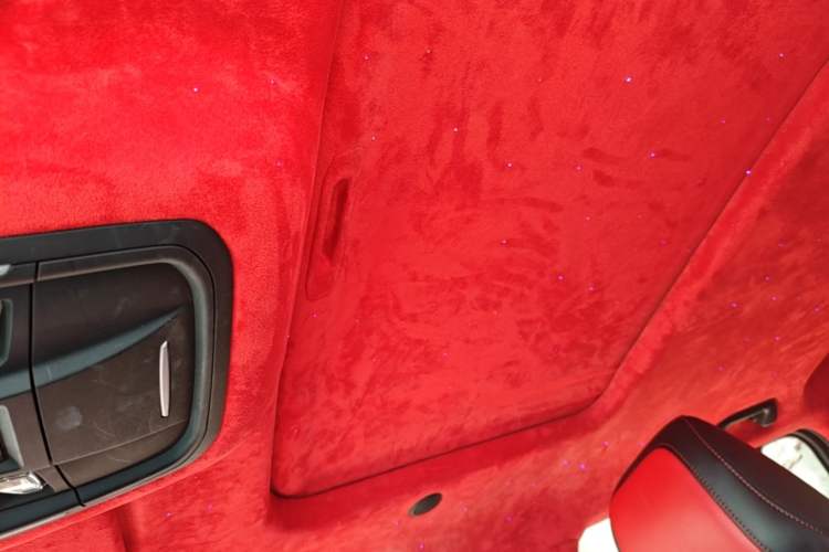 Used Tank 300 2021 City Edition 2.0T—Truly Stylish Headliner