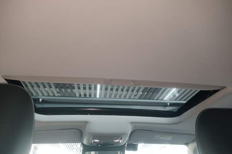 Used Tank 300 2021 Off-Road Edition 2.0T Conqueror Headliner