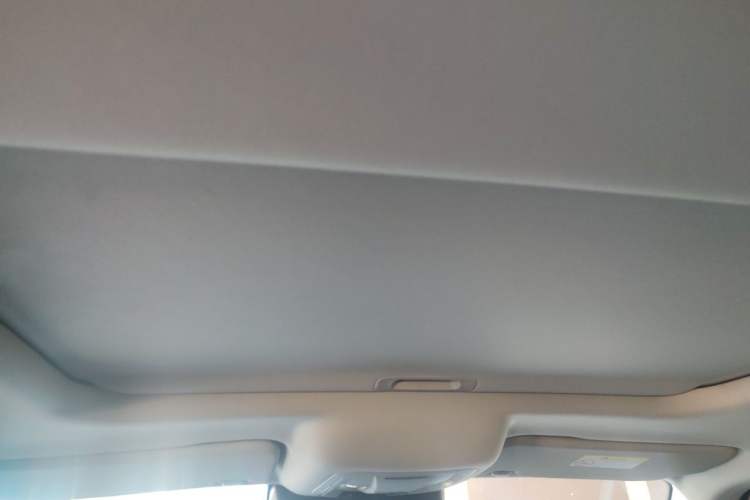 Used Tank 300 2021 Off-Road Edition 2.0T Conqueror Headliner