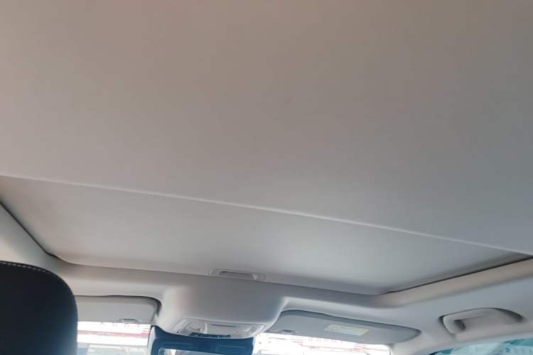 Used Tank 300 2021 Off-Road Edition 2.0T Conqueror Headliner