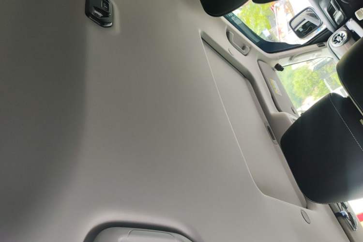 Used Tank 300 2021 City Edition 2.0T Essential Model Headliner