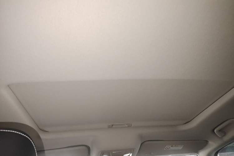 Used Tank 300 2021 Off-Road Edition 2.0T Conqueror Headliner
