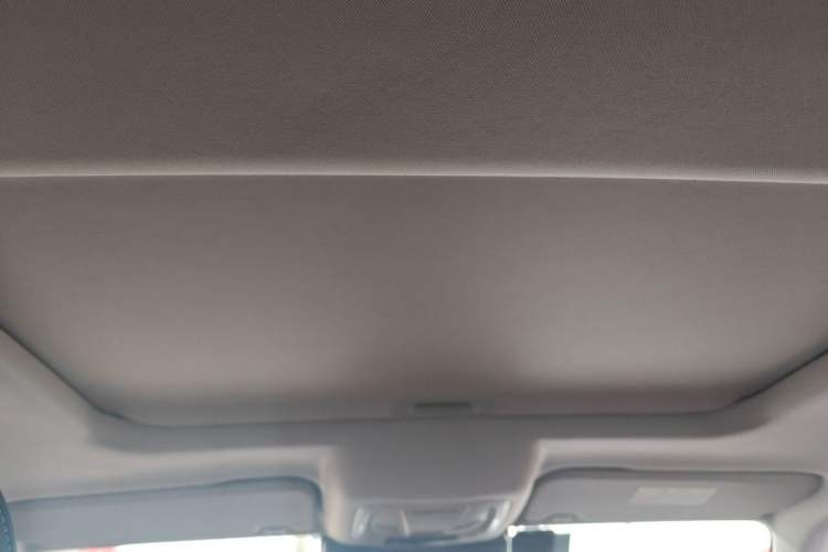 Used Tank 300 2021 Off-Road Edition 2.0T Conqueror Headliner