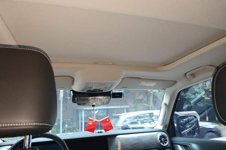 Used Tank 300 2021 City Edition 2.0T—Truly Stylish Headliner