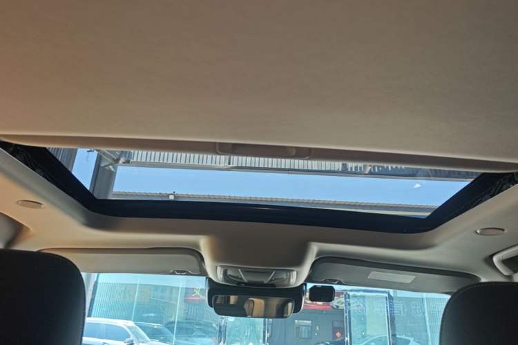 Used Tank 300 2021 City Edition 2.0T—Truly Stylish Headliner