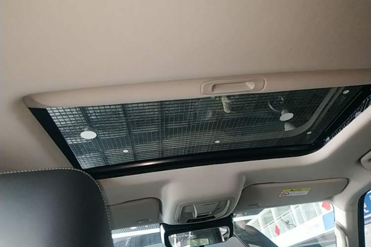 Used Tank 300 2021 Off-Road Edition 2.0T Conqueror Headliner