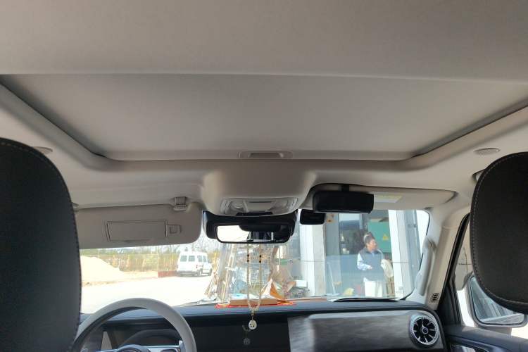Used Tank 300 2021 City Edition 2.0T—Truly Stylish Headliner