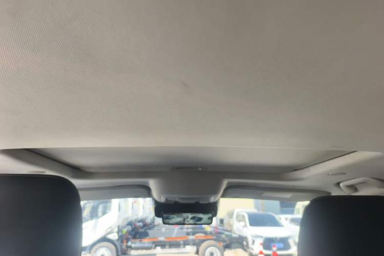 Used Tank 300 2021 City Edition 2.0T—Truly Stylish Headliner