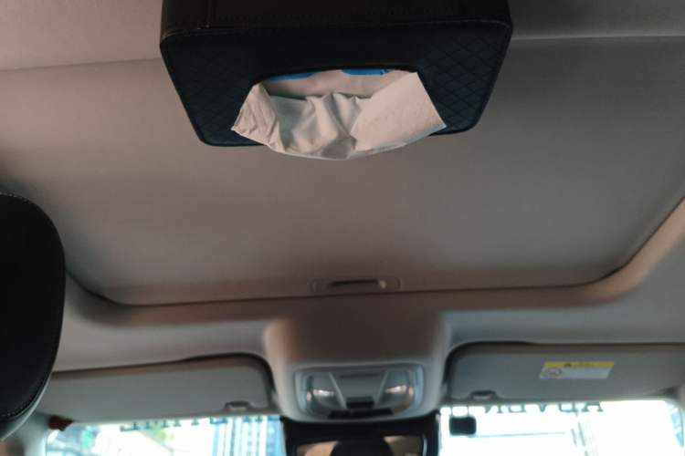 Used Tank 300 2021 City Edition 2.0T—Truly Stylish Headliner