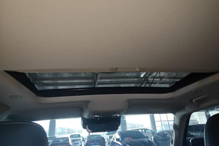 Used Tank 300 2021 City Edition 2.0T—Truly Stylish Headliner