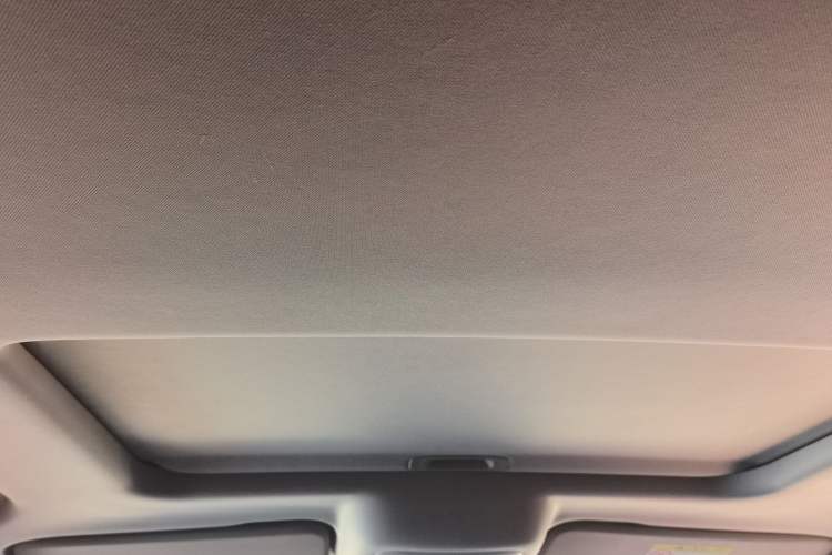 Used Tank 300 2021 Off-Road Edition 2.0T Conqueror Headliner
