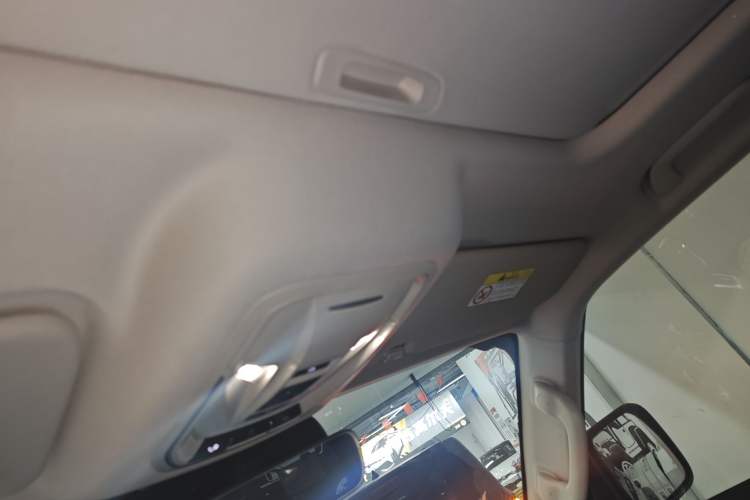 Used Tank 300 2021 2.0T Tank Ranger Headliner