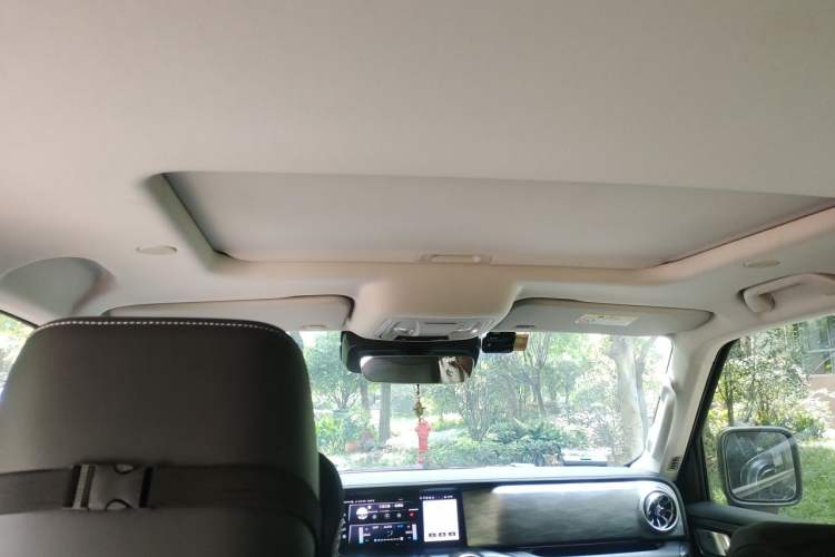 Used Tank 300 2021 City Edition 2.0T—Truly Stylish Headliner