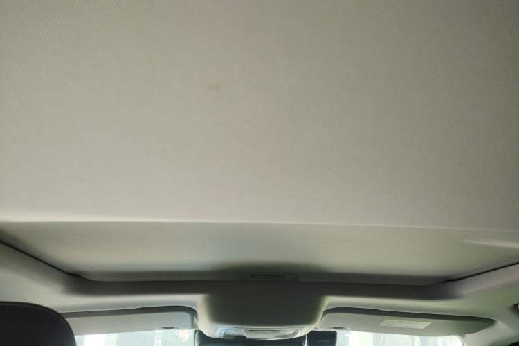 Used Tank 300 2021 Off-Road Edition 2.0T Conqueror Headliner