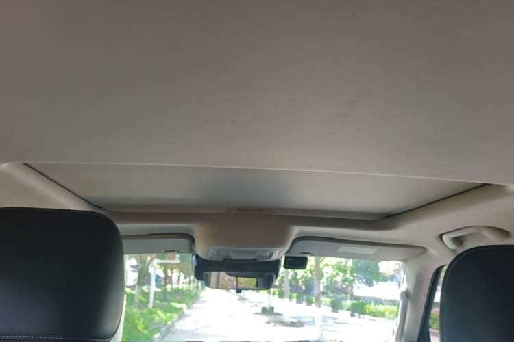 Used Tank 300 2021 Off-Road Edition 2.0T Conqueror Headliner