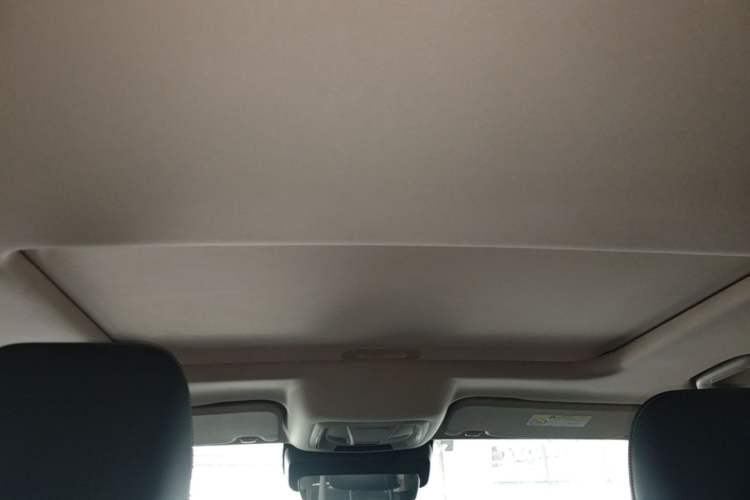 Used Tank 300 2021 Off-Road Edition 2.0T Conqueror Headliner