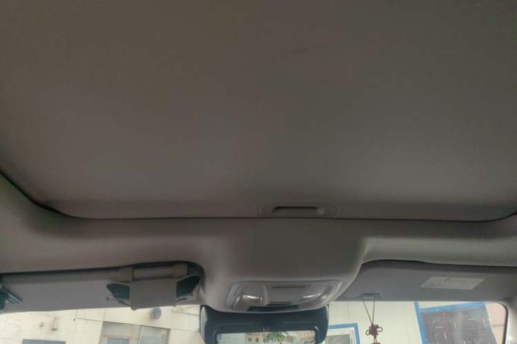 Used Tank 300 2021 City Edition 2.0T—Truly Stylish Headliner