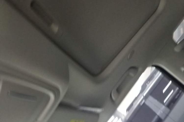 Used Tank 300 2021 City Edition 2.0T—Truly Stylish Headliner