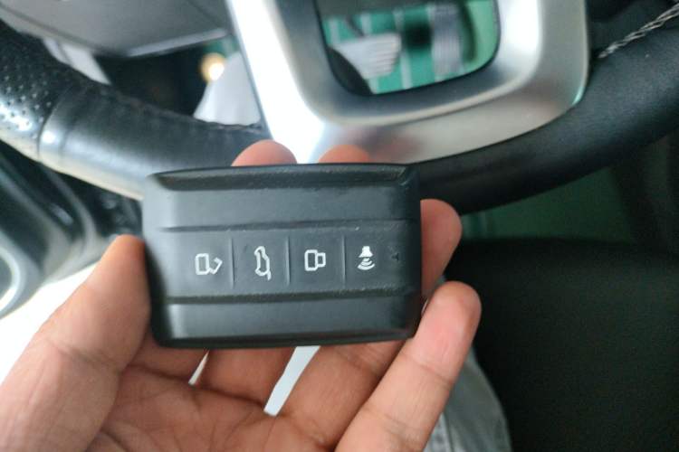 Used Tank 300 2021 City Edition 2.0T Essential Model Interior 1