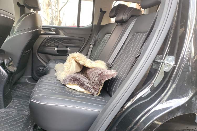 Used Tank 300 2021 Off-Road Edition 2.0T Challenger Interior 4