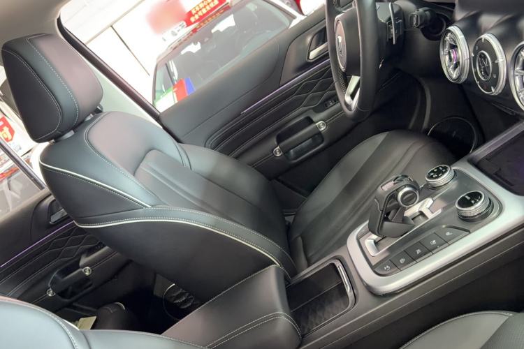 Used Tank 300 2021 City Edition 2.0T—Truly Stylish Left Front Seat